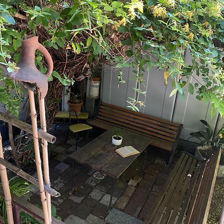 Cozy Zandukeli N15 - City Centre 第比利斯 外观 照片